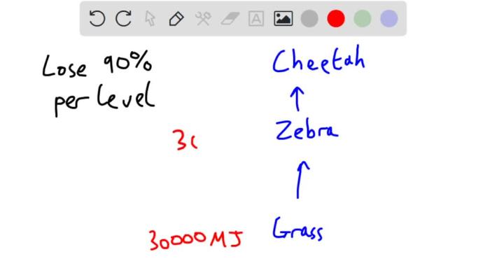 Grass starts with 30000 kcal of energy