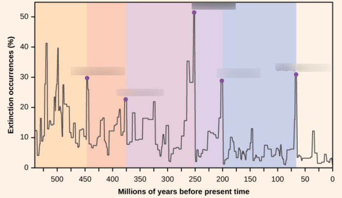 According to both diagrams the extinction