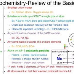 Biochemistry basics pogil answer key