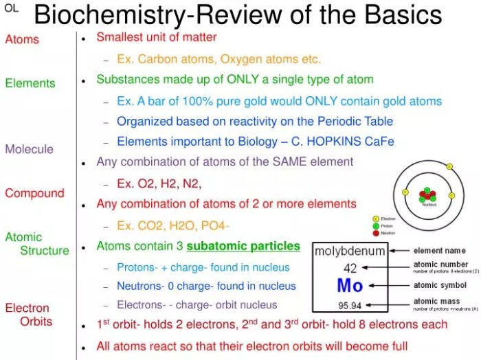 Biochemistry basics pogil answer key