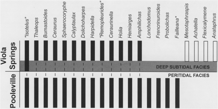 According to both diagrams the extinction