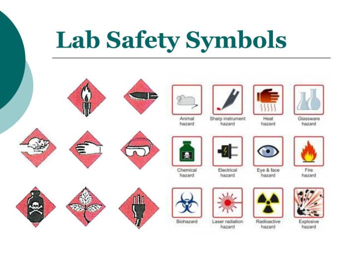 Lab safety symbols review maze