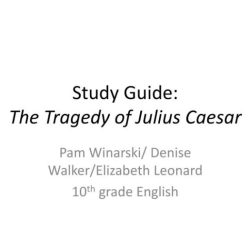 Study guide for the tragedy of julius caesar