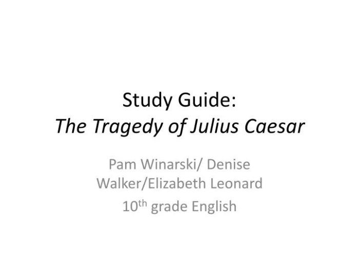 Study guide for the tragedy of julius caesar